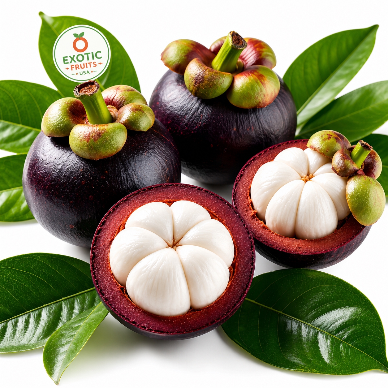 Buy Fresh Mangosteen Online | Premium Exotic Fruit USA
