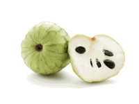 Cherimoya Fruits-Twelve Fresh Fruits