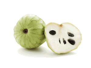 Twelve  Fresh Cherimoya Fruits