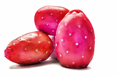 Red Cactus Pears