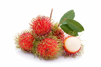 Jumbo Rambutan