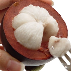 Mangosteen Fruits