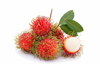 RAMBUTAN Fruits