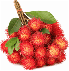 Cheap Price Rambutans