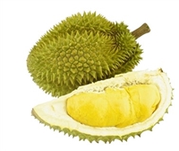 Buy Fresh durian fruit Online Today- Exotic Fruits USA