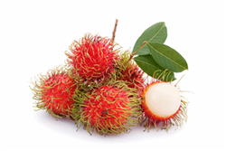 Thai Rambutan fruit