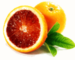 Tarocco Blood orange,buy  Tarocco Blood orange, buy blood orange.com