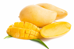 Organic Ataulfo Mangoes buyOrganic Ataulfo Mangoes