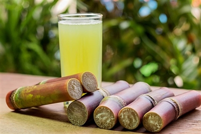 Fresh Sugar Cane, fresh sugarcane near me, sugarcane for sale near me