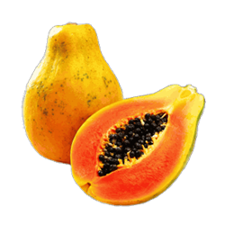 Hawaiian papaya box