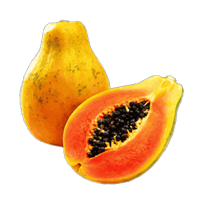 Hawaiian papaya box